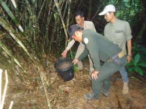 Rangers find bucket in the forest along the road