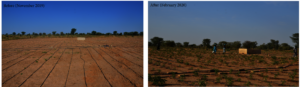 Boustane Lo, before and after