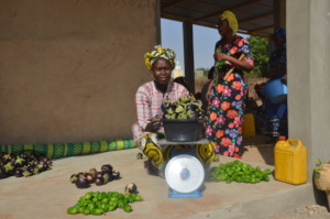 Women weighing their harvest in Keur Ndiouga