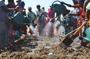 Women at work in Keur Malle