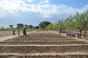 Women from Keur Birane in the field