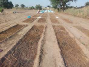 Ndiagne Kahone before starting cultivation