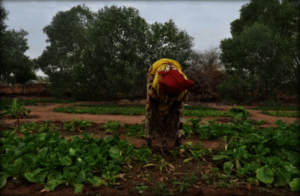Seynabou Diaw in the garden