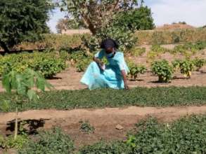 Tending the gardens while being safe