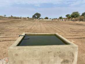 Installed: Water basins and drip irrigation