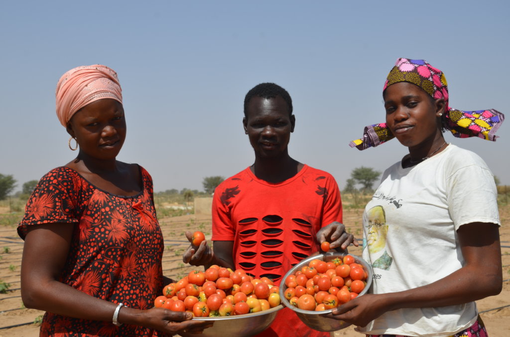 Water and Food for 2,000 People in Rural Senegal