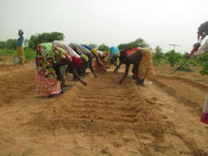Women planting seeds