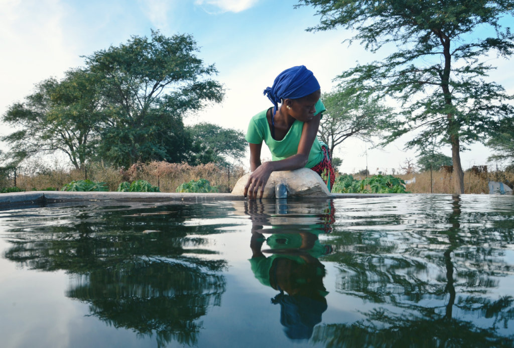 Water and Food for 2,000 People in Rural Senegal