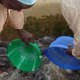 Grown fish feeding thousands