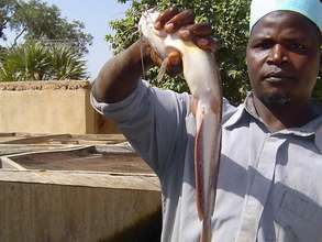 Fish Farming program