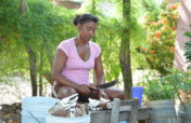 Our roots ... Germinating solidarity