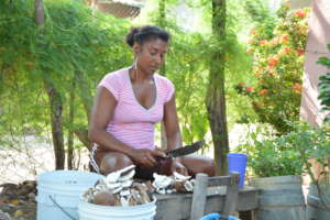 Our roots ... Germinating solidarity