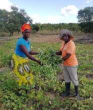 Farmers displaying their harvest in Mozambique