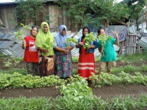 Home Gardening Project in Indonesia