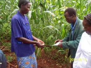 Income Generating Project