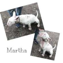 Martha