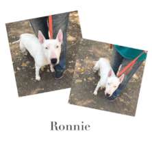 Ronnie