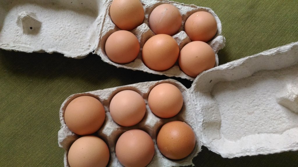 Poultry Farming for Afghan Women