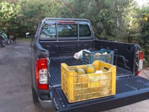 Putting her to work right away