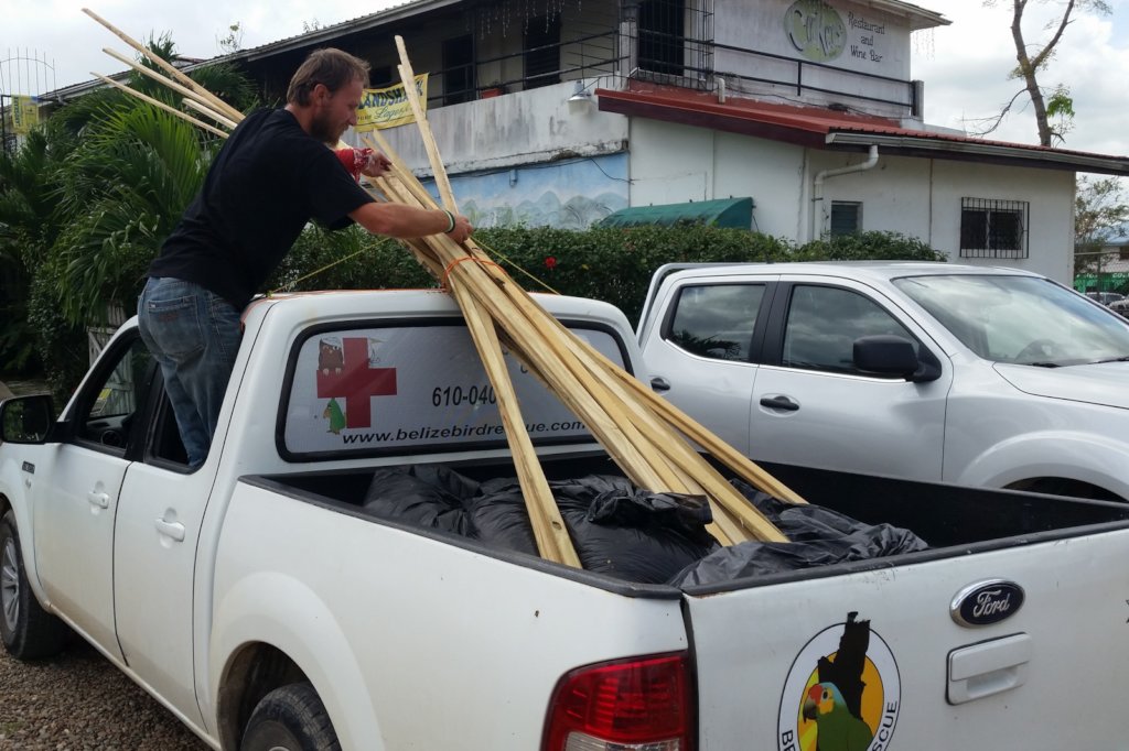BBR's New Truck Fund: Even birds need wheels!