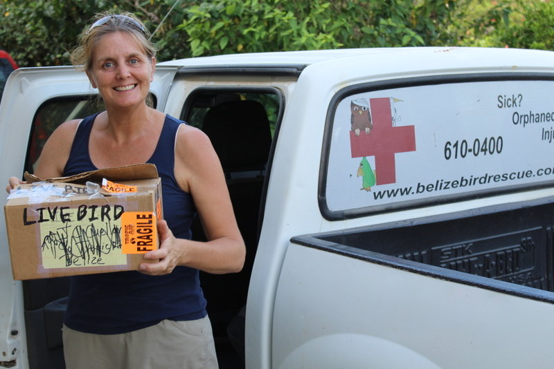 BBR's New Truck Fund: Even birds need wheels!