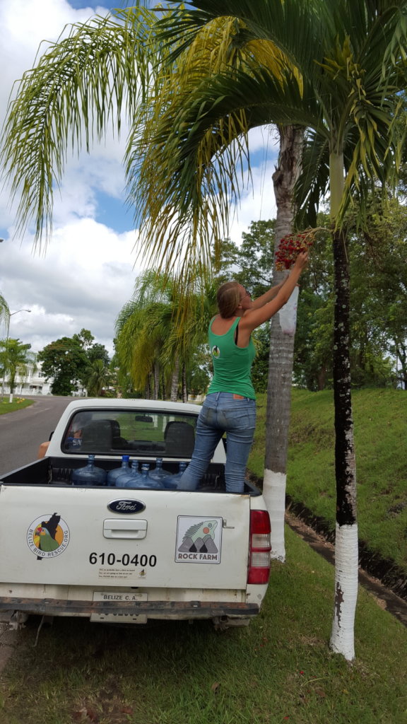 BBR's New Truck Fund: Even birds need wheels!