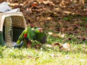 BBR's New Truck Fund: Even birds need wheels!