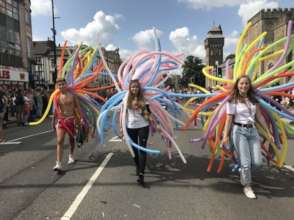 Pride Voluntary Camp (UNA Exchange)