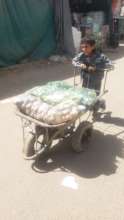 Innocent  Yemeni Child works hard to survive.