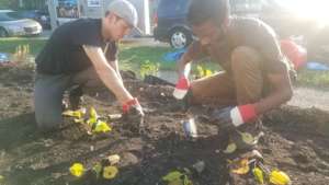 Detroiters working together to build rain garden