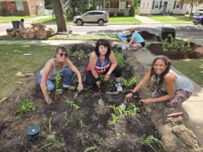 Creating a residential rain garden in Dearborn