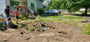 Building a rain garden