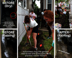 Gloria's Stormwater Before & After Rain Garden