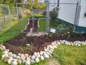 Detroit rain garden: fighting sewer overflows