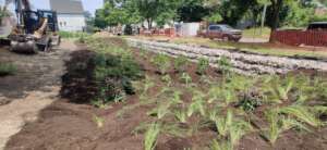 LaNita's Memorial Park Rain Garden installed 2023
