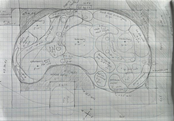 Example rain garden designed by a 2022 participant