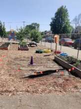 Site for future rain garden at Lowery School