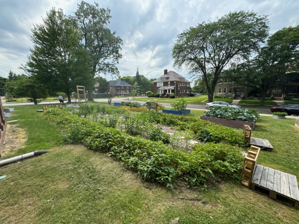The Food & Flower Gardens at Thirkell School