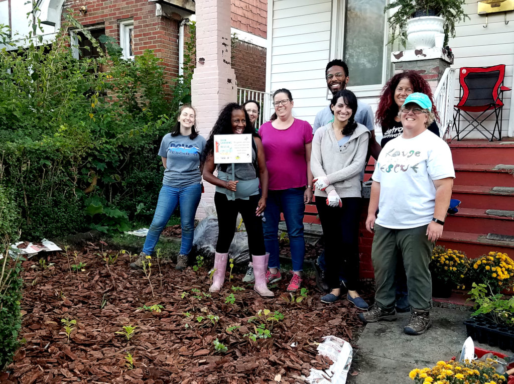 Rain Gardens to the Rescue