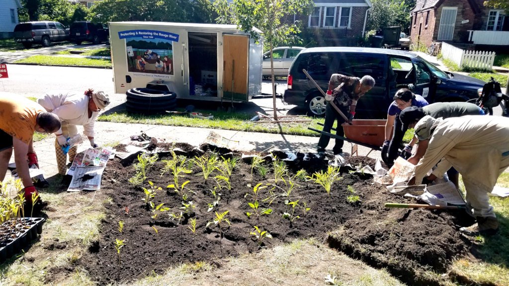 Rain Gardens to the Rescue