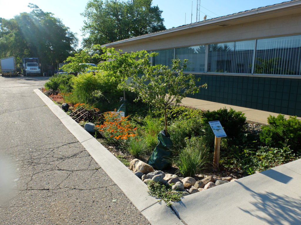 Rain garden at a public site