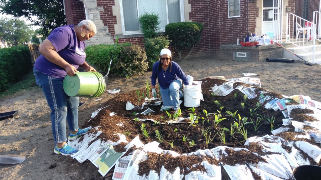 Volunteers Laying Mulch to Fight Weeds