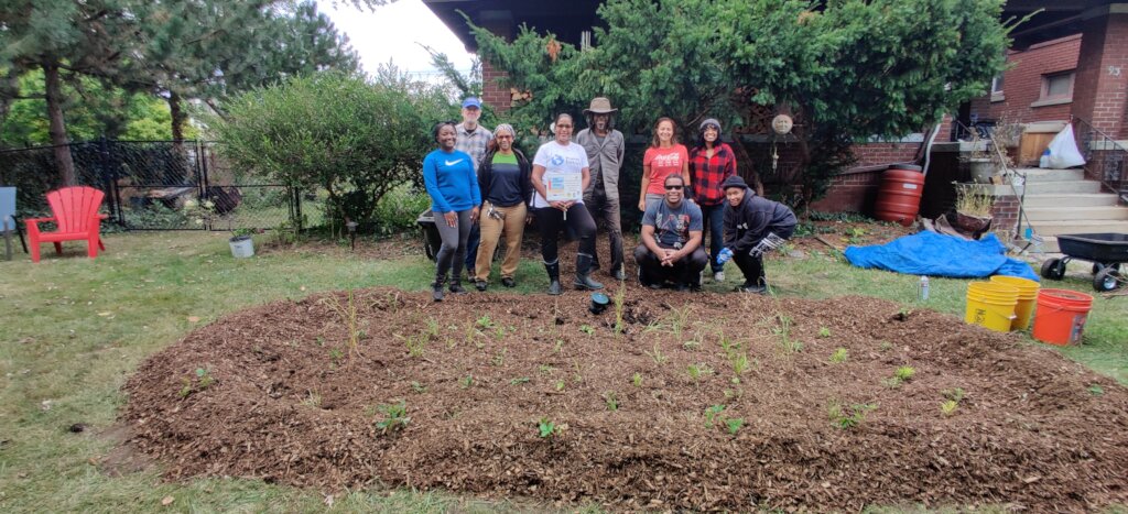 Rain Gardens to the Rescue