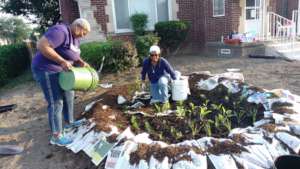 Volunteers Laying Mulch to Fight Weeds