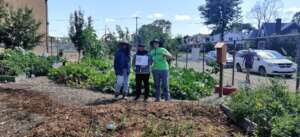 Southend Dearborn School Rain Garden