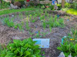 Detroit Resident Rain Garden