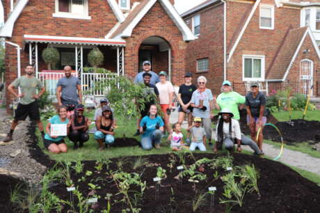 Rain Gardens to the Rescue