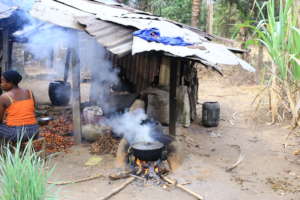 Household in the rural commuity