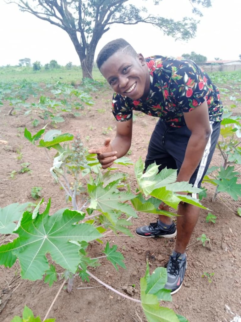 Sustainable Castor Beans farming in Nigeria GlobalGiving