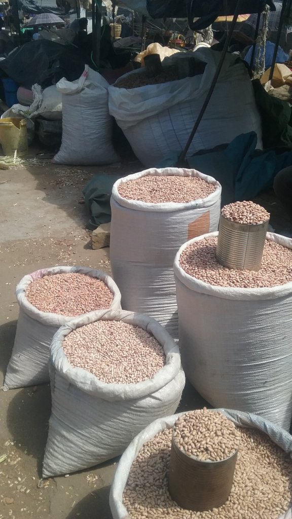 Support 340 Wildlife Rangers in Zimbabwe